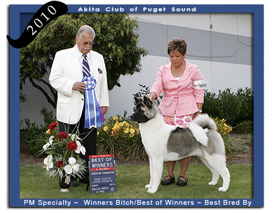 ACPS PM  Winners Bitch, Best of Winners, Best Bred By